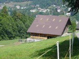 Hengststall